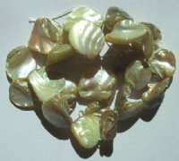 16 inch strand of 13-16mm Diagonal Light Olive Shells